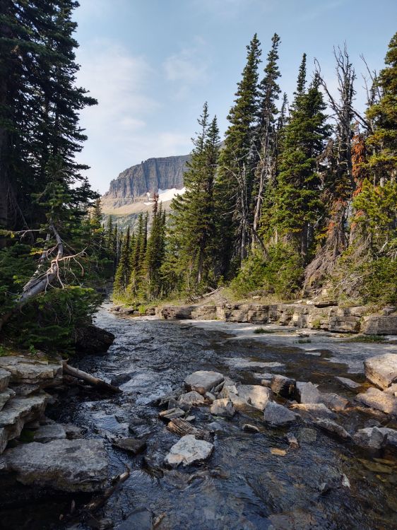 Explore Piegan Pass Trail: Glaciers, Wildlife & Mountain Vistas